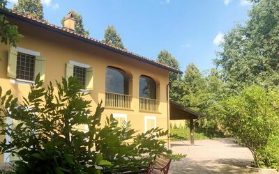 Giorgio Winery