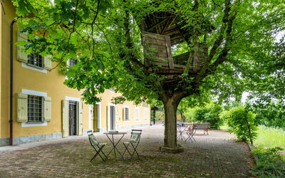 Giorgio Winery