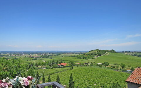 Ca' Del Vento: Himmel, Pflanze, Pflanzengemeinschaft, Ökoregion, Wolke, Natürliche Landschaft, Blume, Grundstueck, Vegetation, Baum