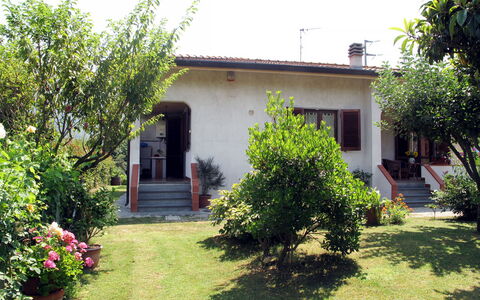 Emilia: Haus, Strauch, Garten, Wohngebiet, Zuhause, Rasen, Ground, Tür, Hinterhof
