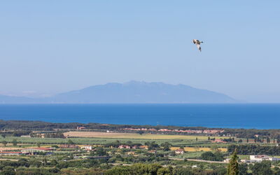 San Vincenzo 631