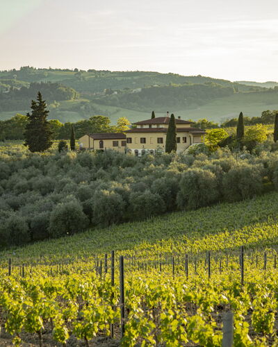 Podere San Michele: Pflanze, Schatten, Gartenmöbel, Baum, Die Architektur, Grundeigentum, Freizeit, Komfort, Sonnenliege, Tönungen Und Schatten