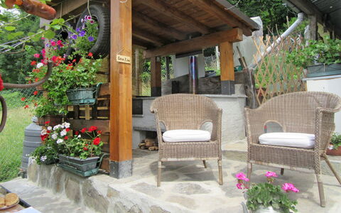 Casa Kiwi: Blume, Pflanze, Gebäude, Blumentopf, Zimmerpflanze, Schatten, Interior Design, Gartenmöbel, Stuhl