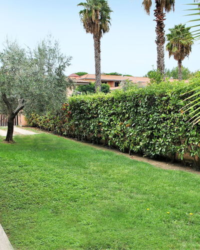 Barbie: Gras, Rasen, Grün, Vegetation, Eigentum, Baum, Graspflanze, Palme, Grundeigentum, Pflanze