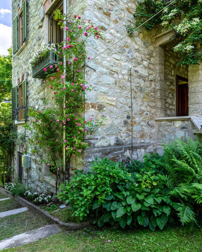 Villa Biino: Pflanze, Eigentum, Gebäude, Fenster, Himmel, Grün, Wolke, Vegetation, Blume, Biome