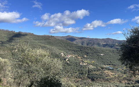 Valloria 602: Bergforms, Berg, Vegetation, Hügel, Hochland, Ökoregion, Pflanzengemeinschaft, Landschaft, Wildnis, Terrain