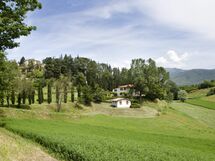 Della Nave Estate