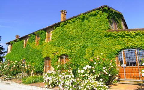 Villa Venanzo: Eigentum, Haus, Grün, Vegetation, Wand, Gebäude, Hütte, Strauch, Pflanze, Ländliches Gebiet