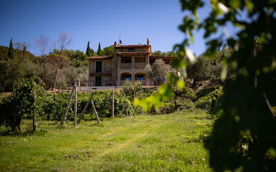 Villa Giotto