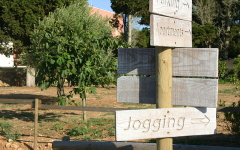 Tenuta Vigna Corallo: Wand, Baum, Grundstueck, Landschaft, Signage, Pflanze, Nationalpark, \Fels, State Park, Schild