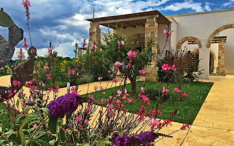 Tenuta Vigna Corallo: Blume, Garten, Pflanze, Eigentum, Garten, Zuhause, Himmel, Haus, Wohngebiet, Botanik