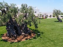 Masseria Villa Il Frantoio