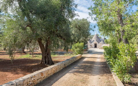 Trullo Suenn Con Piscina: Baum, Eigentum, Strasse, Durchgangsstrasse, Weg, Landschaft, Pflanze, Walkway, Grundeigentum, Park