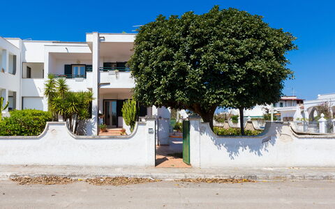 Appartamento Panorama Sul Mare: Wohngebiet, Baum, Eigentum, Nachbarschaft, Haus, Zuhause, \Stadt, Die Architektur, Grundeigentum, Wand