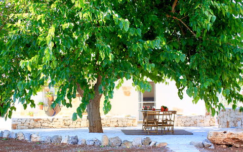 Trullo Con Piscina Per Bambini: Grün, Baum, Natur, Natürliche Landschaft, Blatt, Pflanze, Gehölz, Ast, Ebene, Anpassung
