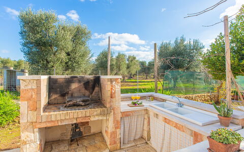 Trullo Con Piscina Per Bambini: Pflanze, Himmel, Wolke, Eigentum, Gebäude, Baum, Holz, Blumentopf, Die Architektur, Gras