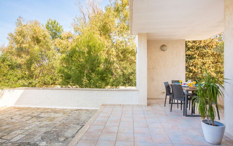 Villa Salento: Pflanze, Himmel, Blumentopf, Schatten, Holz, Fussboden, Gras, Flooring, Strassenbelag, Zimmerpflanze