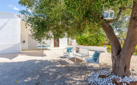 Lamia Di Nonna Mena: Eigentum, Baum, Grundeigentum, Die Architektur, Haus, Zimmer, Gebäude, Möbel, Garten, Hinterhof