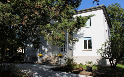 Villa La Casa Bianca: Eigentum, Haus, Zuhause, Gebäude, Grundeigentum, Baum, Wohngebiet, Nachbarschaft, Die Architektur, Estate