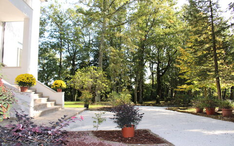 Villa La Casa Bianca: Eigentum, Zuhause, Baum, Haus, Grundeigentum, Garten, Wohngebiet, Landscaping, Garten, Landschaft