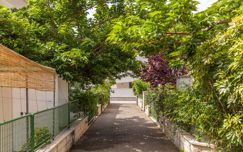 Villa Victory: Baum, Walkway, Botanik, Pflanze, Blatt, Gehölz, Haus, Strasse, Gasse, Die Architektur