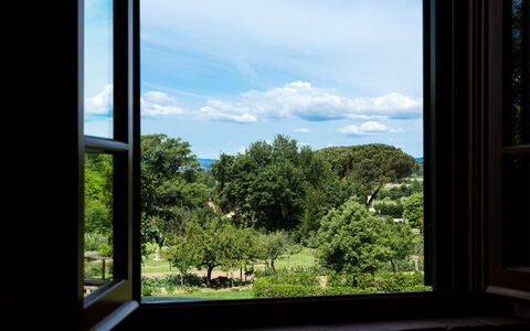 Casale Vacanze Il Granaio: Vegetation, Himmel, Fenster, Blau, Baum, Natürlichen Umgebung, Botanik, Haus, Blatt, Zimmer