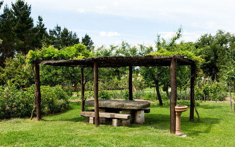 Casale Vacanze Il Granaio: Grün, Naturschutzgebiet, Baum, Botanik, Gras, Garten, Pavillon, Tabelle, Graspflanze, Frühling
