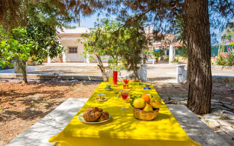 Villa Mediterranea: Eigentum, Gelb, Baum, Tabelle, Mahlzeit, Urlaub, Freizeit, Erholung, Landschaft, Pflanze
