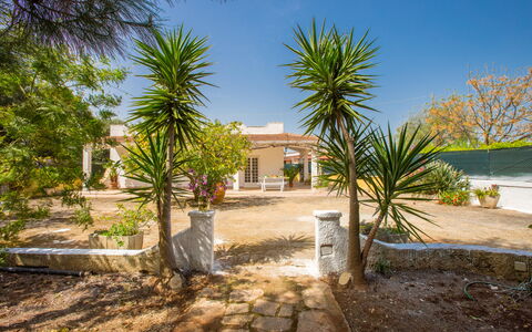 Villa Mediterranea: Eigentum, Haus, Zuhause, Grundeigentum, Baum, Estate, Gebäude, Wohngebiet, Palme, Arecales