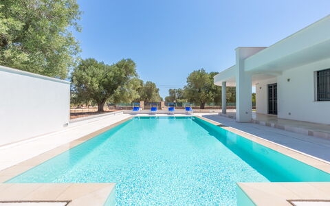 Villa Stella Cadente: Wasser, Himmel, Gebäude, Schwimmbad, Azurblau, Baum, Schatten, Rechteck, Gras, Freizeit