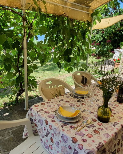 La Casa Del Sole: Pflanze, Eigentum, Tabelle, Botanik, Natur, Blume, Landschaft, Stuhl, Gartenmöbel, Terrestrische Plant