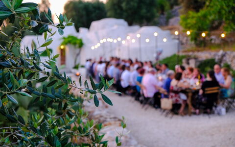 Corte dei Messapi | Sleeps 24: Pflanze, Blatt, Botanik, Gras, Freizeit, Gehölz, Baum, Morgen, Sommer, Blume