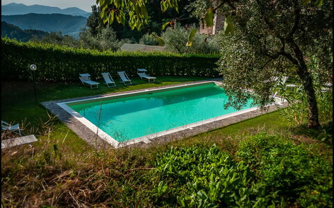 Orto Degli Olivi Proprietà: Schwimmbad, Eigentum, Natürliche Landschaft, Gras, Wasser, Freizeit, Haus, Baum, Villa, Die Architektur