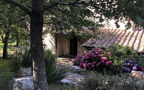 Beautiful Stone Country Villa: Baum, Wand, Pflanze, Frühling, Blume, Haus, Botanik, Garten, Strauch, Ländliches Gebiet