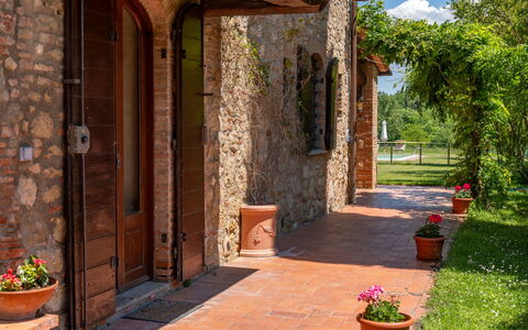 Podere a Lafi: Pflanze, Blumentopf, Gebäude, Zimmerpflanze, Blume, Baum, Tür, Backstein, Mauerwerk, Nachbarschaft