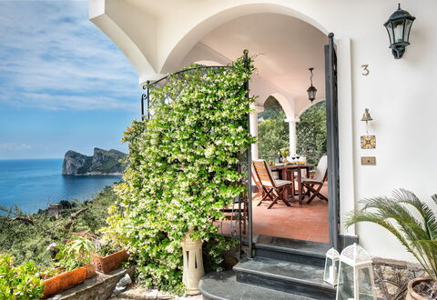 Medusa And The Seahorse Villa: Pflanze, Gebäude, Wasser, Eigentum, Tabelle, Wolke, Blumentopf, Himmel, Azurblau, Blume