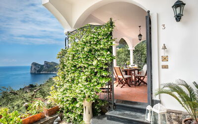 Medusa And The Seahorse Villa: Pflanze, Gebäude, Wasser, Eigentum, Tabelle, Wolke, Blumentopf, Himmel, Azurblau, Blume