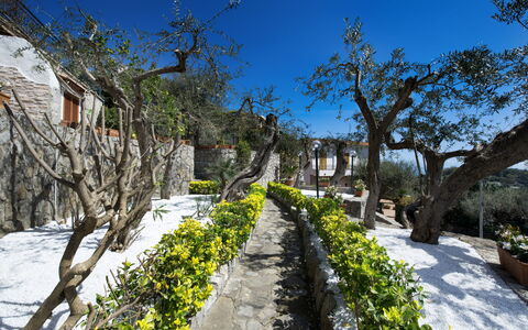 Villa Nerano: Eigentum, Baum, Grundeigentum, Botanik, Pflanze, Frühling, Haus, Tourismus, Landschaft, Berg