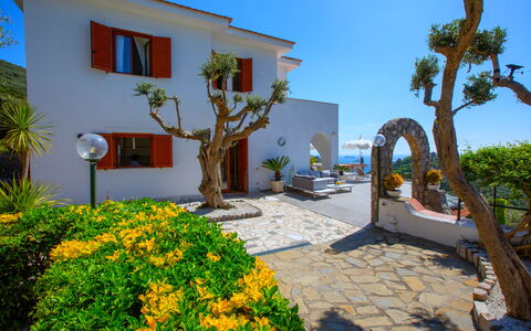 Villa Nerano: Blumentopf, Hazienda, Landscaping, Estate, Garten, Zimmerpflanze, Villa, Garten