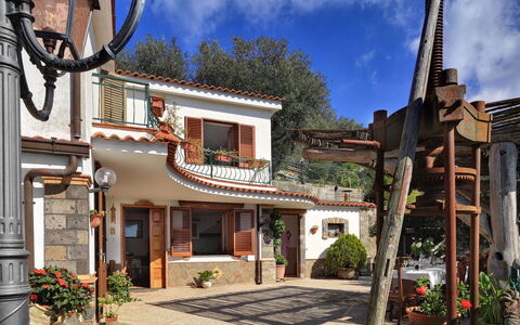 La Villa Dell'olio: Pflanze, Wolke, Himmel, Eigentum, Gebäude, Fenster, Blumentopf, Tür, Baum, Nachbarschaft