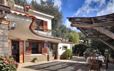 La Villa Dell'olio: Pflanze, Wolke, Eigentum, Himmel, Fenster, Gebäude, Blumentopf, Holz, Tür