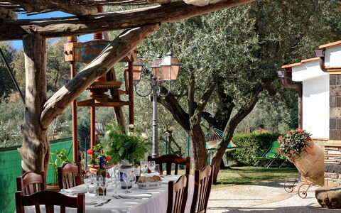La Villa Dell'olio: Tabelle, Geschirr, Möbel, Pflanze, Stuhl, Tischdecke, Gebäude, Dekoration, Baum, Interior Design