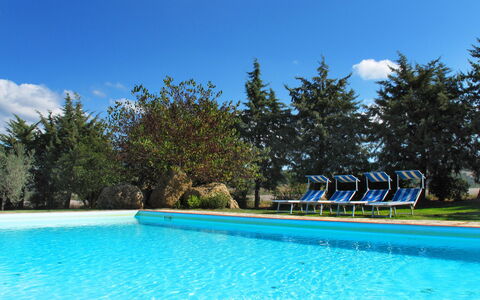 Agriturismo Le Selvole: Wasser, Himmel, Wolke, Pflanze, Schwimmbad, Blau, Baum, Gartenmöbel, Schatten, Natürliche Landschaft