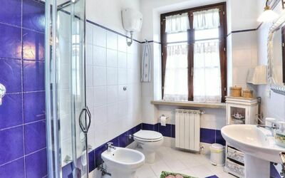 Uva: Sinken, Armatur, Eigentum, Zapfhahn, Fenster, Lila, Blau, Azurblau, Bad Sink, Badezimmer
