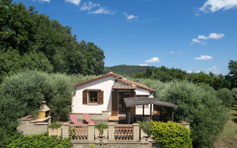 Villa Laura: Pflanze, Himmel, Wolke, Eigentum, Fenster, Pflanzengemeinschaft, Gebäude, Haus, Baum, Natürliche Landschaft