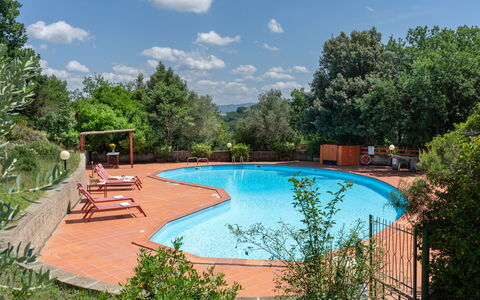 Villa Laura: Wasser, Pflanze, Himmel, Wolke, Schwimmbad, Baum, Gartenmöbel, Schatten, Stuhl, Natürliche Landschaft