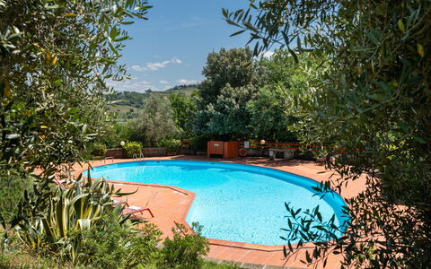 Villa Laura: Wasser, Pflanze, Wasservorräte, Himmel, Wolke, Schwimmbad, Azurblau, Natürliche Landschaft, Baum, Schatten