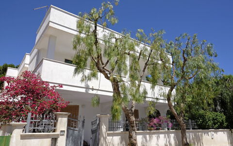 Villa Marlene: Himmel, Pflanze, Gebäude, Daytime, Eigentum, Fenster, Baum, Haus, Nachbarschaft, Urban Design