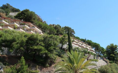 Ventimiglia 633: Himmel, Gebäude, Pflanze, Pflanzengemeinschaft, Baum, Vegetation, Arecales, Haus, Natürliche Landschaft, Nachbarschaft