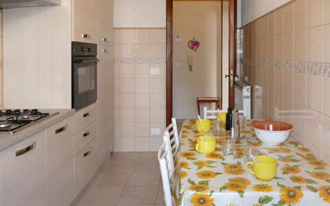 Angelo: Eigentum, Cabinetry, Möbel, Gebäude, Tür, Dishware, Drinkware, Countertop, Kelche, Fussboden